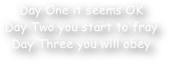 Day One it seems OK
Day Two you start to fray
Day Three you will obey