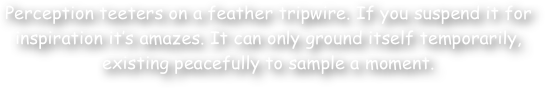 Perception teeters on a feather tripwire. If you suspend it for inspiration it‚Äö√Ñ√¥s amazes. It can only ground itself temporarily, existing peacefully to sample a moment.