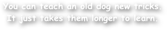 You can teach an old dog new tricks. It just takes them longer to learn.